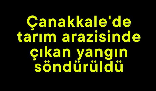 Çanakkale'de tarım arazisinde çıkan yangın söndürüldü
