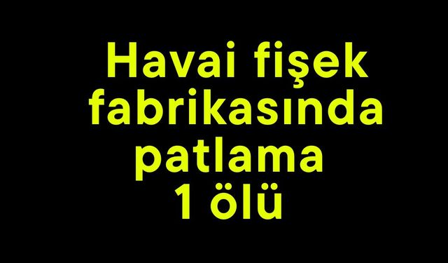 Havai fişek fabrikasında patlama  1 ölü