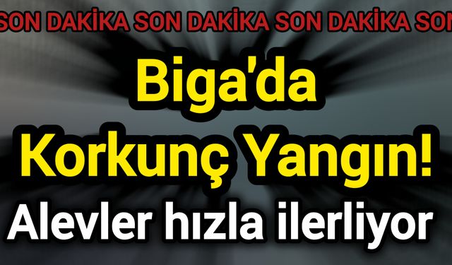 Biga'da Korkunç Yangın! Alevler hızla ilerliyor