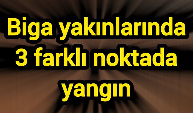 Biga yakınlarında 3 farklı noktada yangın