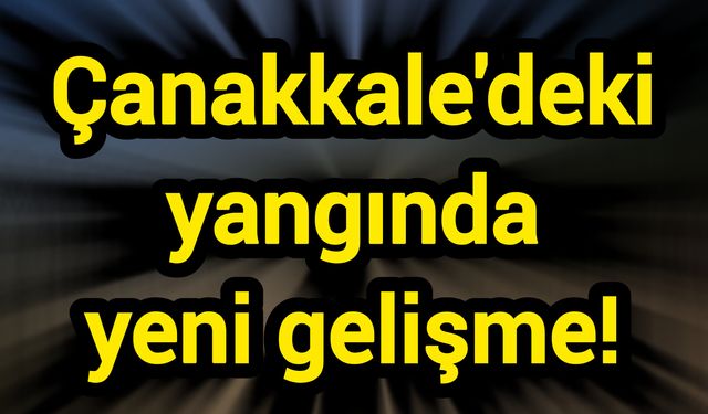 Çanakkale'deki yangında yeni gelişme!