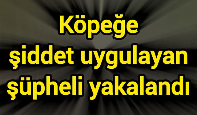 Köpeğe şiddet uygulayan şüpheli yakalandı