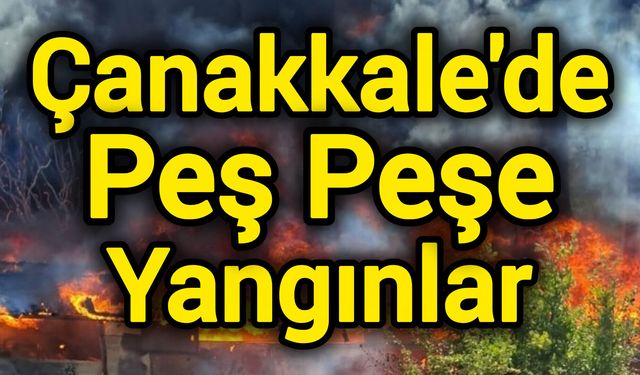 Çanakkale'de Peş Peşe Yangınlar!