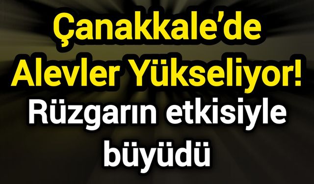 Çanakkale’de Alevler Yükseliyor! Rüzgarın etkisiyle büyüdü