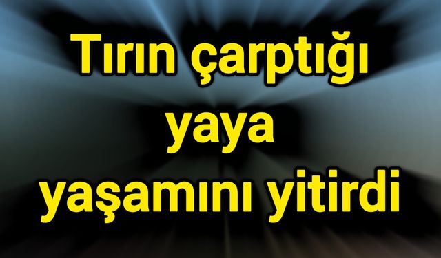 Tırın çarptığı yaya yaşamını yitirdi
