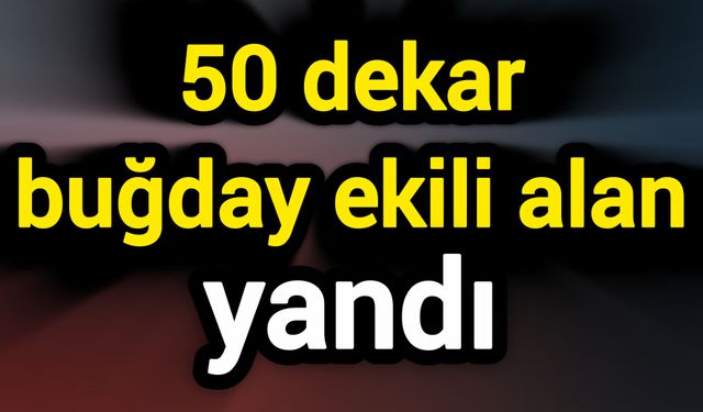 50 dekar buğday ekili alan yandı