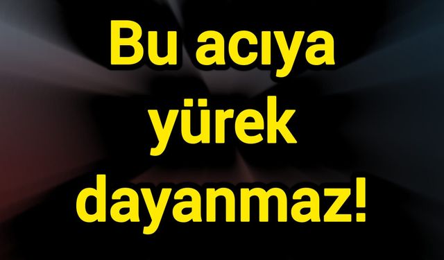 Bu acıya yürek dayanmaz!