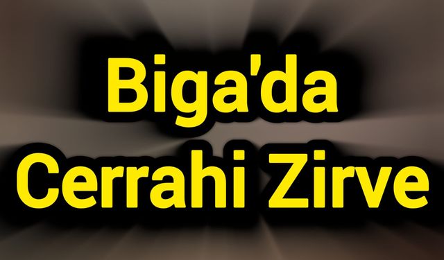 Biga'da Cerrahi Zirve
