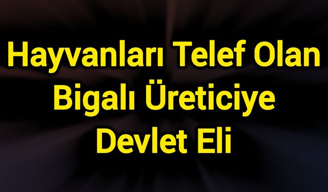 Hayvanları Telef Olan Bigalı Üreticiye Devlet Eli