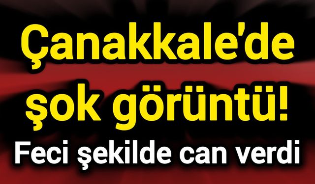 Çanakkale'de şok görüntü! Feci şekilde can verdi