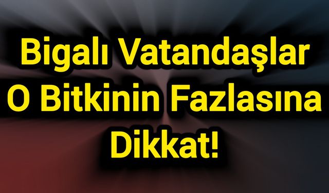 Bigalı Vatandaşlar O Bitkinin Fazlasına Dikkat!