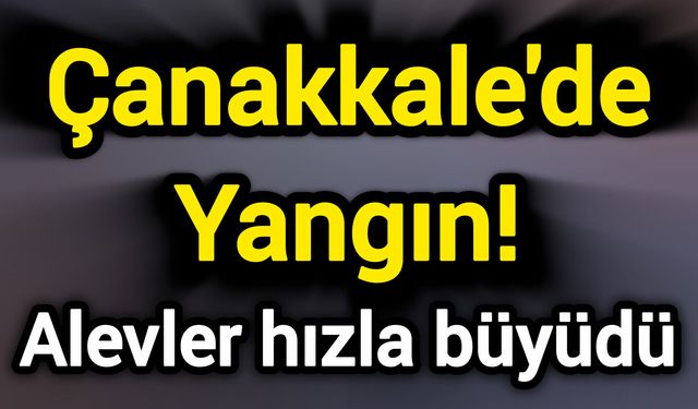 Çanakkale'de Yangın! Alevler hızla büyüdü
