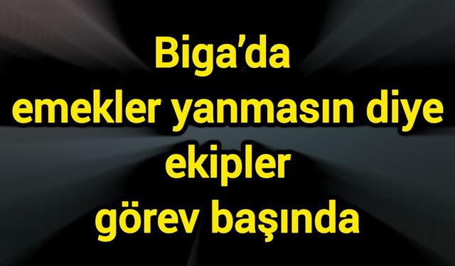 Biga’da emekler yanmasın diye ekipler görev başında