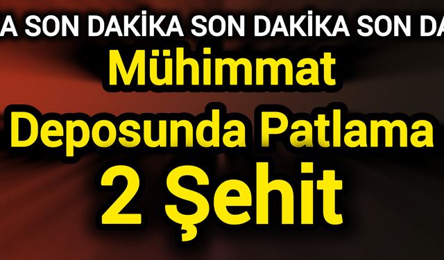 Mühimmat Deposunda Patlama: 2 Şehit