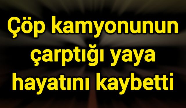 Çöp kamyonunun çarptığı yaya hayatını kaybetti