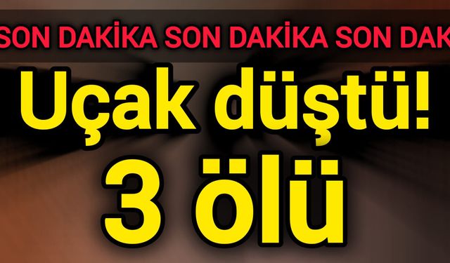 Son Dakika: Uçak düştü! 3 ölü