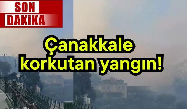 Çanakkale korkutan yangın!