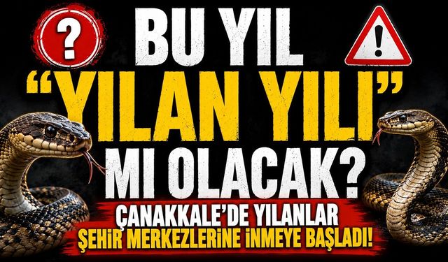 Bu Yıl "Yılan Yılı" mı Olacak? Çanakkale'de Yılanlar Şehir Merkezlerine İnmeye Başladı