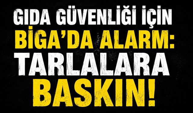 Gıda güvenliği için Biga'da alarm: Tarlalara baskın!