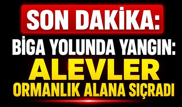 SON DAKİKA: Biga Yolunda Yangın: Alevler Ormanlık Alana Sıçradı