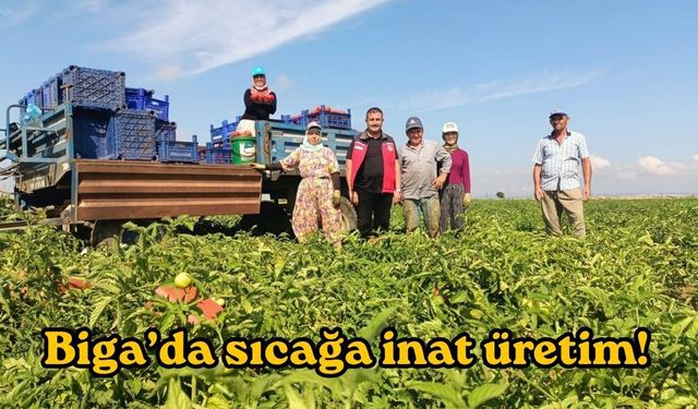 Biga’da sıcağa inat üretim!