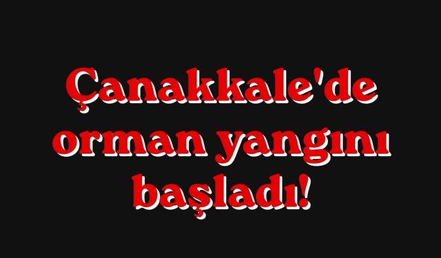Çanakkale'de orman yangını başladı!