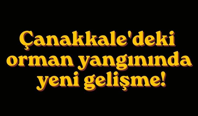 Çanakkale'deki orman yangınında yeni gelişme!