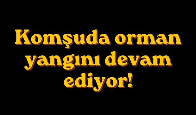 Komşuda orman yangını devam ediyor!