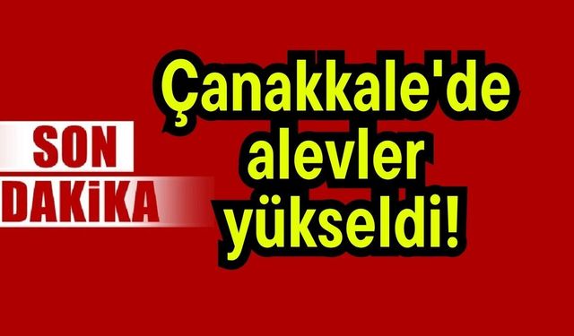 Çanakkale'de alevler yükseldi!