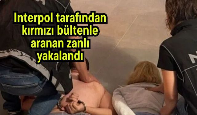 Interpol tarafından kırmızı bültenle aranan zanlı yakalandı