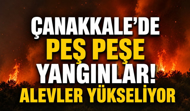 Çanakkale'de peş peşe yangınlar! Alevler yükseliyor