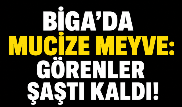 Biga’da mucize meyve: Görenler şaştı kaldı!