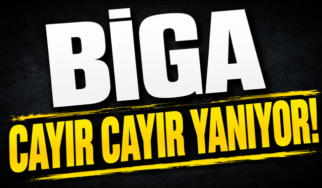 Biga cayır cayır yanıyor!