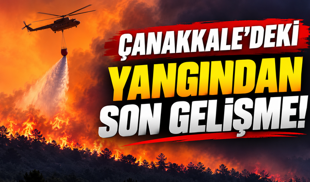 Çanakkale'deki yangından son gelişme!