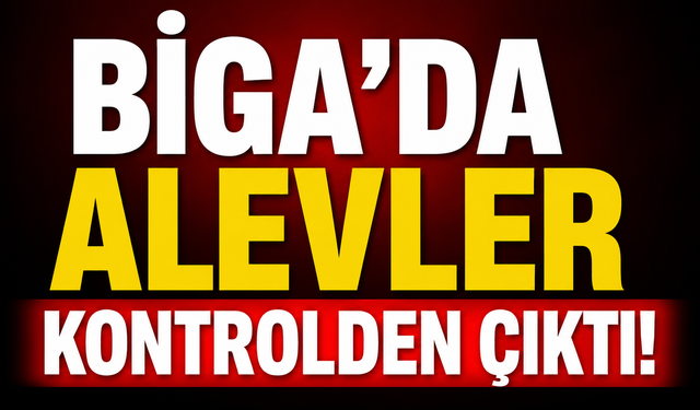 Biga’da alevler kontrolden çıktı!
