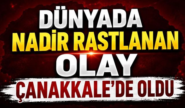 Dünyada Nadir Rastlanan Olay Çanakkale'de Oldu