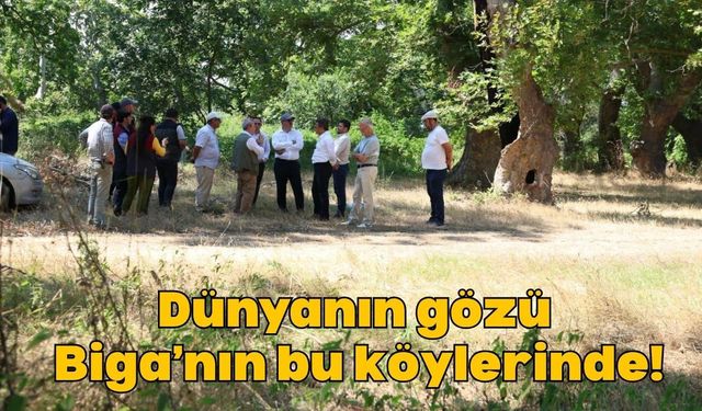 Dünyanın Gözü Biga'nın Bu Köylerinde!