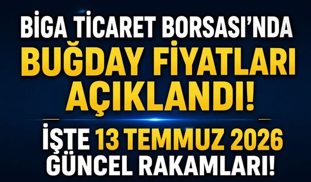 Biga Ticaret Borsası'nda Buğday Fiyatları Açıklandı! İşte 13 Temmuz 2026 Güncel Rakamları