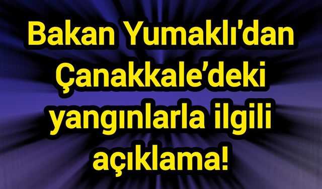 Bakan Yumaklı'dan Çanakkale’deki yangınlarla ilgili açıklama!