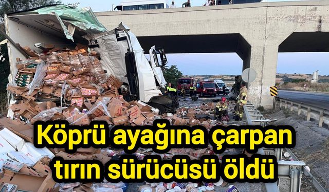 Köprü ayağına çarpan tırın sürücüsü öldü