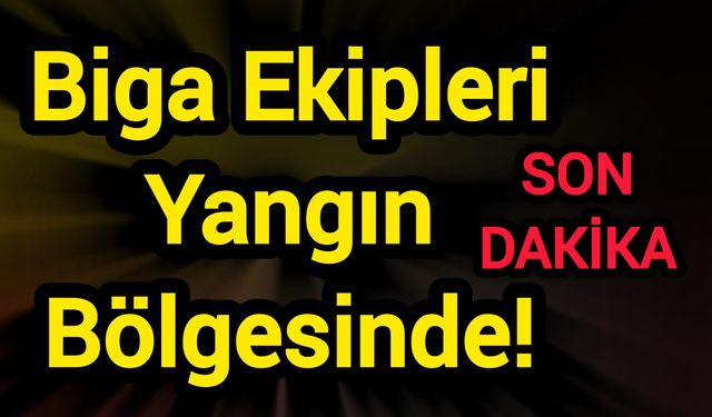 Biga Ekipleri Yangın Bölgesinde!