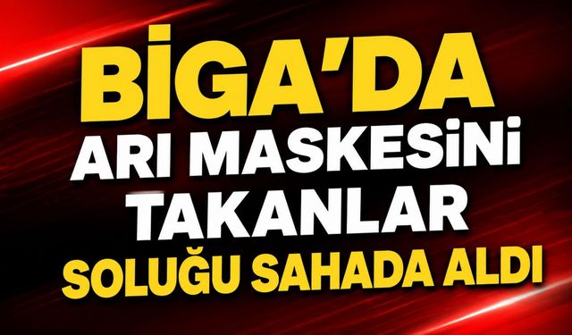 Biga'da arı maskesini takanlar soluğu sahada aldı