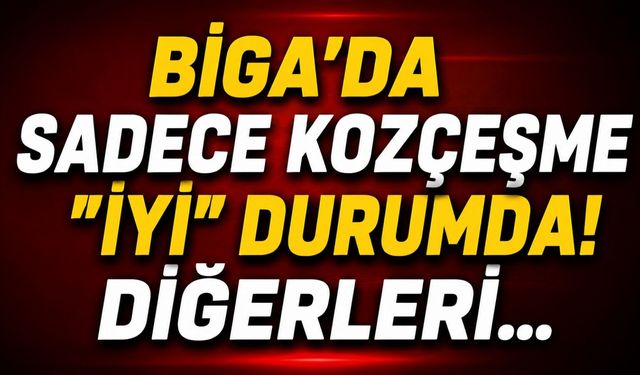 Biga’da sadece Kozçeşme "iyi" durumda! Diğerleri…