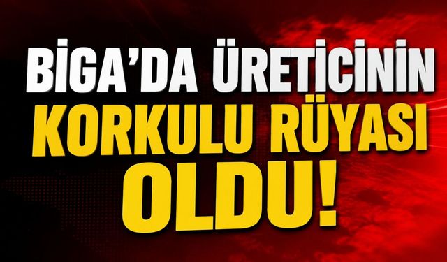 Biga’da da üreticinin korkulu rüyası oldu!
