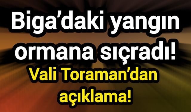 Biga’daki yangın ormana sıçradı! Vali Toraman’dan açıklama!