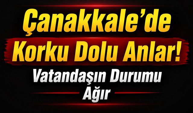 Çanakkale'de Korku Dolu Anlar! Yaşlı Vatandaşın Durumu Ağır