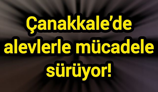 Çanakkale’de alevlerle mücadele sürüyor!