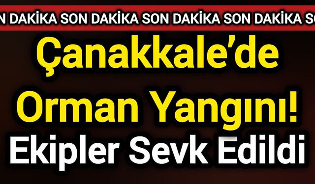 Çanakkale’de Orman Yangını! Ekipler Sevk Edildi
