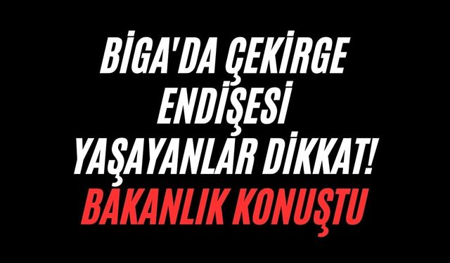 Biga'da çekirge endişesi yaşayanlar dikkat! Bakanlık konuştu