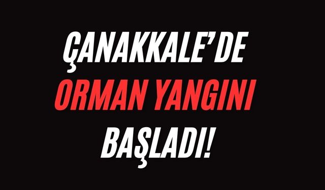 Çanakkale’de orman yangını başladı!